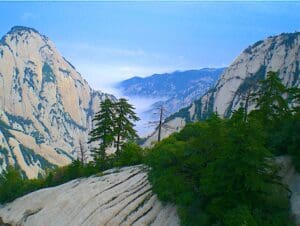 Hua Shan Year 3 with Ling Shu treatment - 12 month subscription