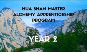 MAAP Virtual Year 2 - 8 Payment Option (Brittney)