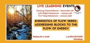 The Energetics of Flow:  Addressing Blocks to the Flow of Energy (3 Part Series of Live Learning Events)