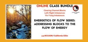 Energetics of Flow Bundle