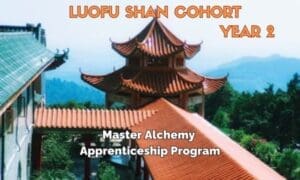 LuoFu Shan Year Two Simple Track - 12 month subscription